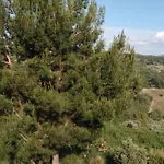 Villa Exclusive Kuşadası
