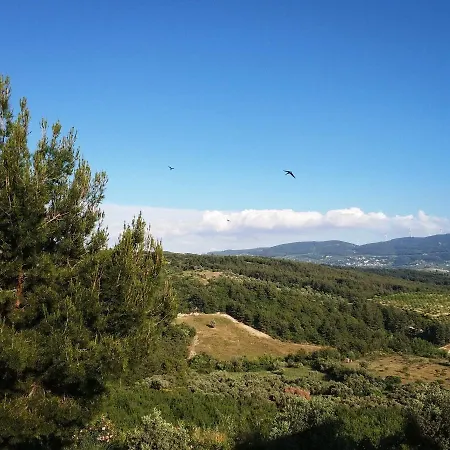 Exclusive * Kusadasi