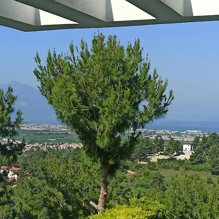 Exclusive Villa